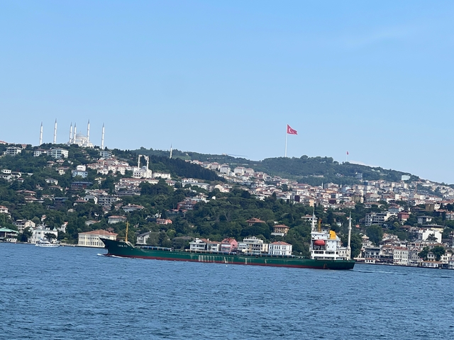       Large ship sailing past a hilly coastal area with cityscape.
  