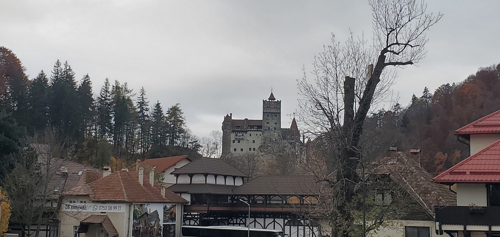 Distant view of a castle among trees.