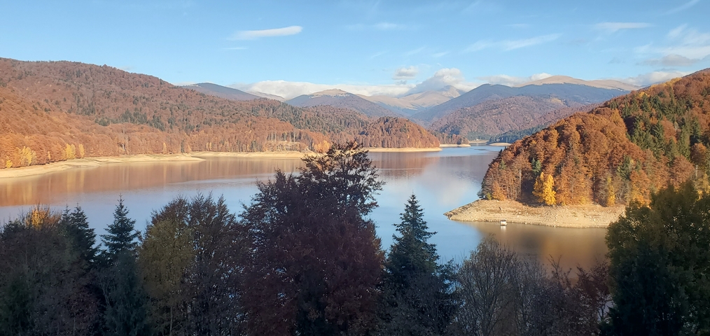       Scenic view of a lake surrounded by forest and mountains.
  
