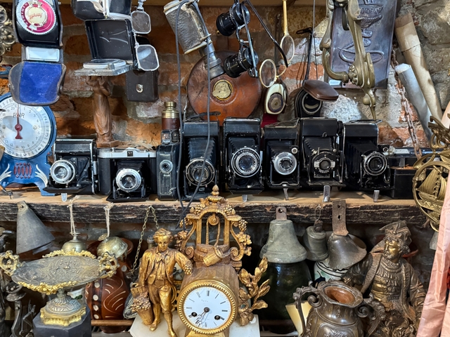       Collection of vintage cameras and antiques on display.
  