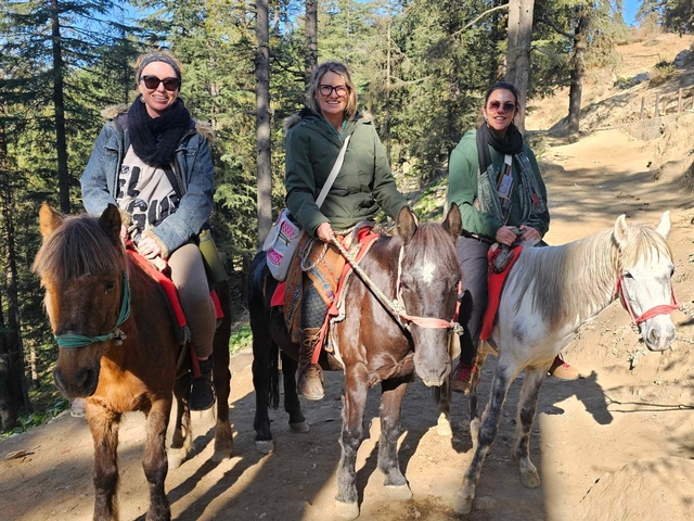 Three people riding horses on a forest path.