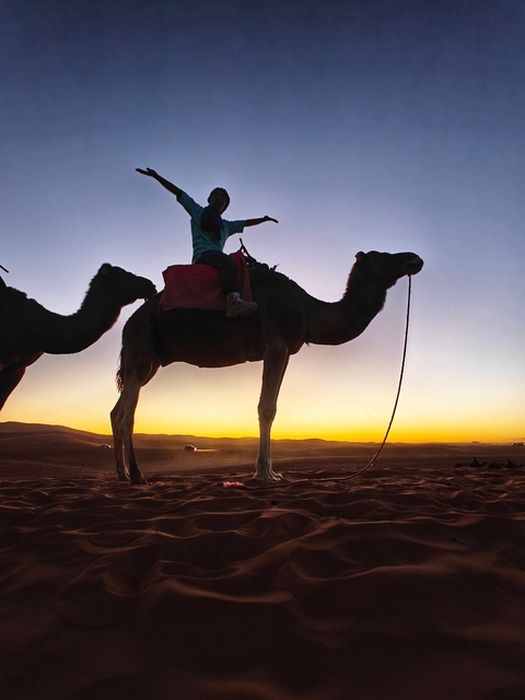 Silhouette of a person on a camel against a sunset.