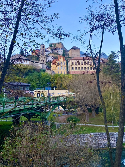 A scenic view of a European town with a river and trees.