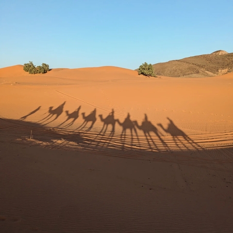 Shadows of camels and riders on sand dunes in the desert.