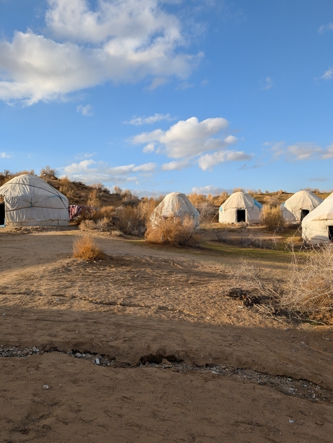       A series of yurts in a desert landscape under a blue sky.
  