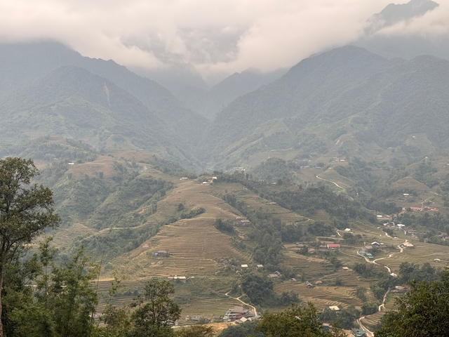       Misty mountain view with terraced fields.
  