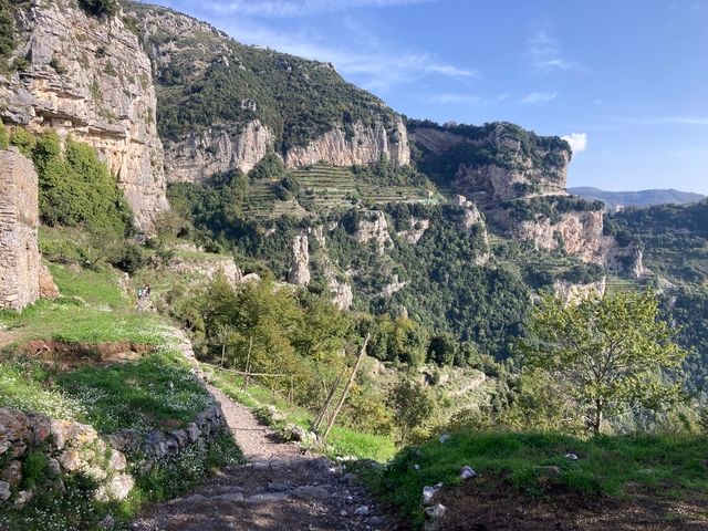       Green terraced hills with pathways.
  