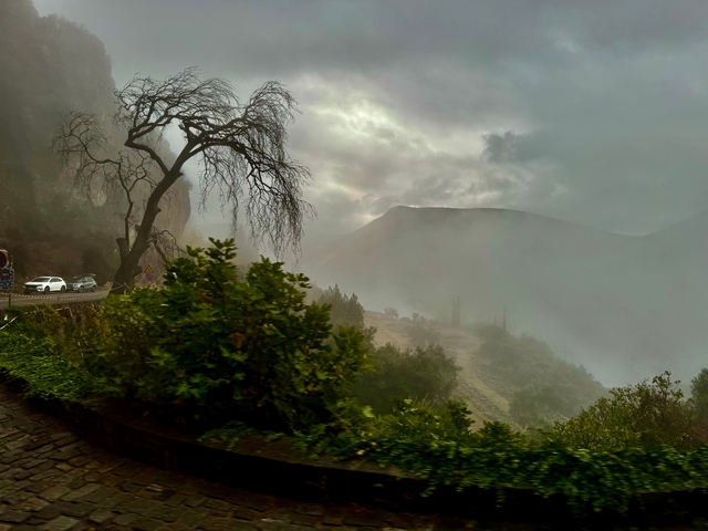 Misty mountainous landscape with a silhouetted tree.