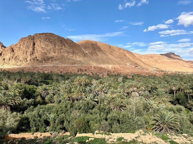 Desert mountain landscape with lush green oasis below