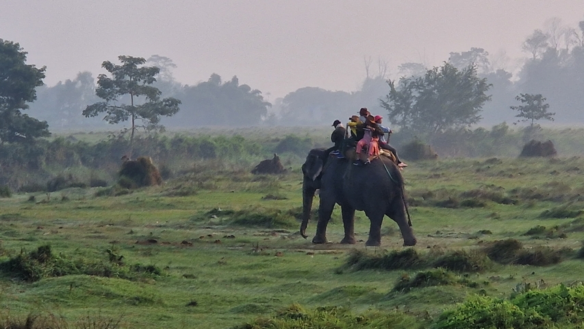       People riding an elephant through a green savanna landscape.
  
