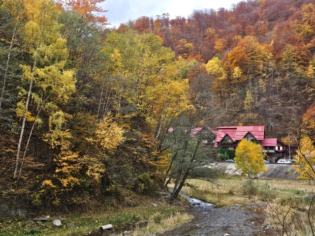 Cabin in a forest with autumn colors.