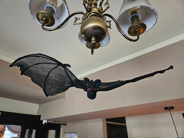       A decorative bat hanging from the ceiling chandelier indoors.
  
