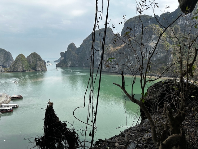       View from a cave looking out to limestone formations and water.
  