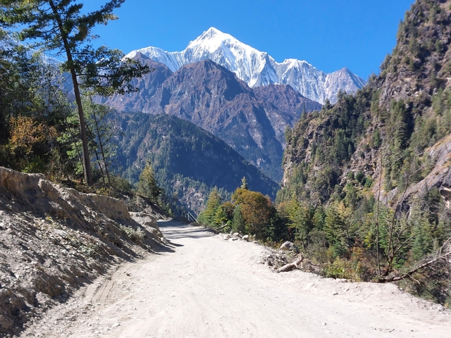 Mountainous road flanked by forest and snow-capped peaks.