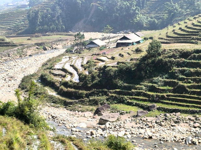Scenic view of terraced rice fields and river.