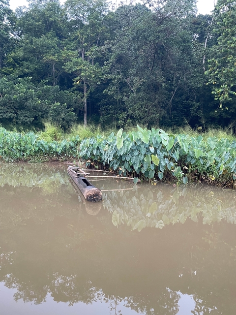 Abandoned wooden canoe in a small river.