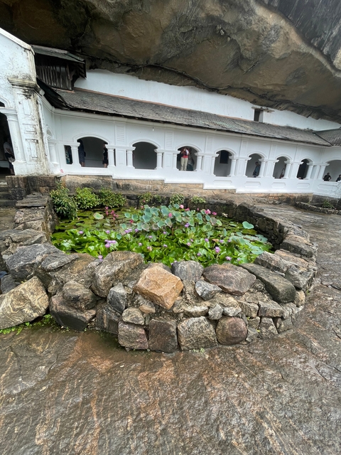       Courtyard with lotus pond at a historic site.
  