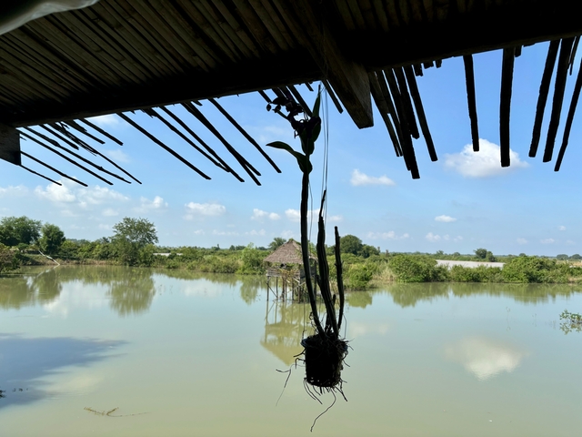      Scenic view of a river and nature through a traditional roof.
  