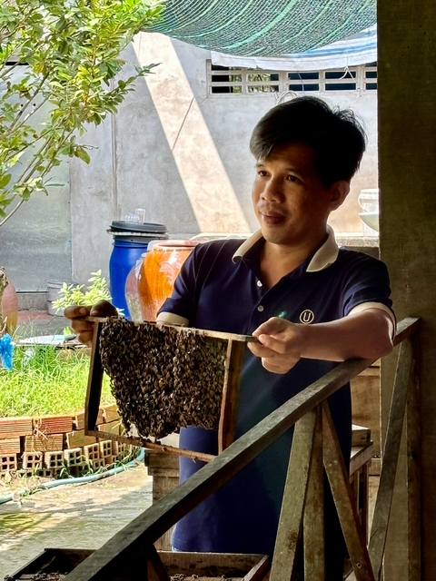       Man holding up a tray of bees outside.
  