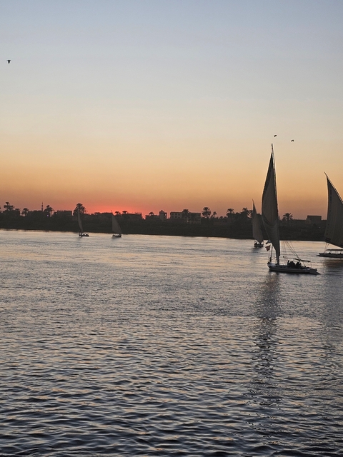 Feluccas sailing on the Nile River at sunset.