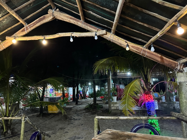 Outdoor night scene with string lights and palm trees.