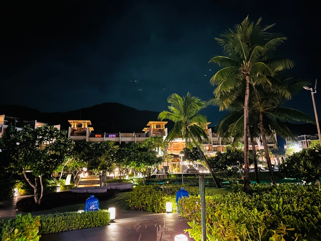 Resort facade with palm trees at night.