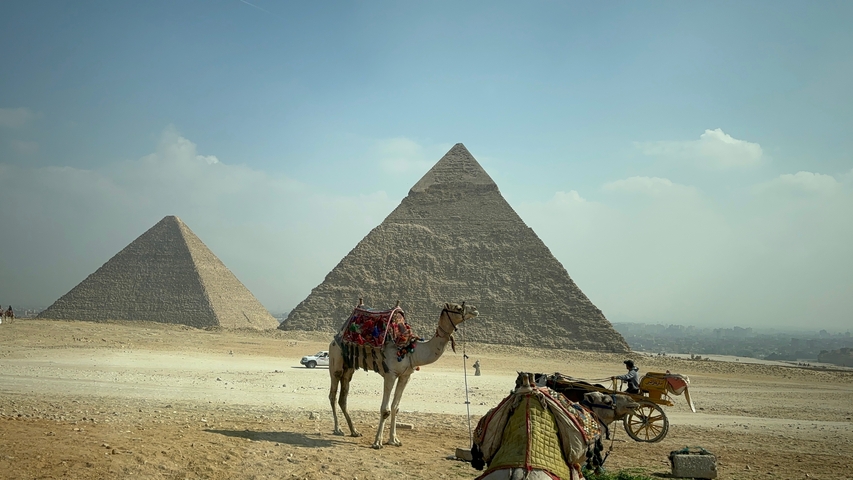      Pyramids in the desert with camels in the foreground.
  