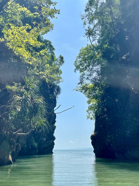 Narrow channel of limestone cliffs covered in greenery.