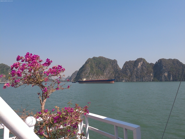      View of limestone islands from a boat, with flowers in the foreground.
  