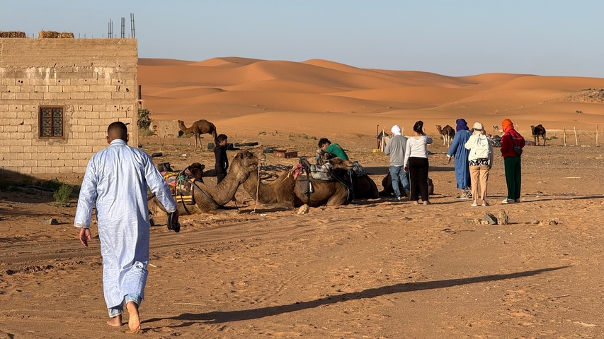       People preparing camels in the desert.
  