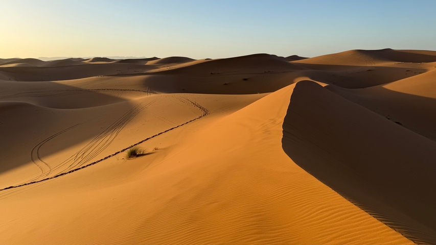 Dunes with sunset lighting in the desert.