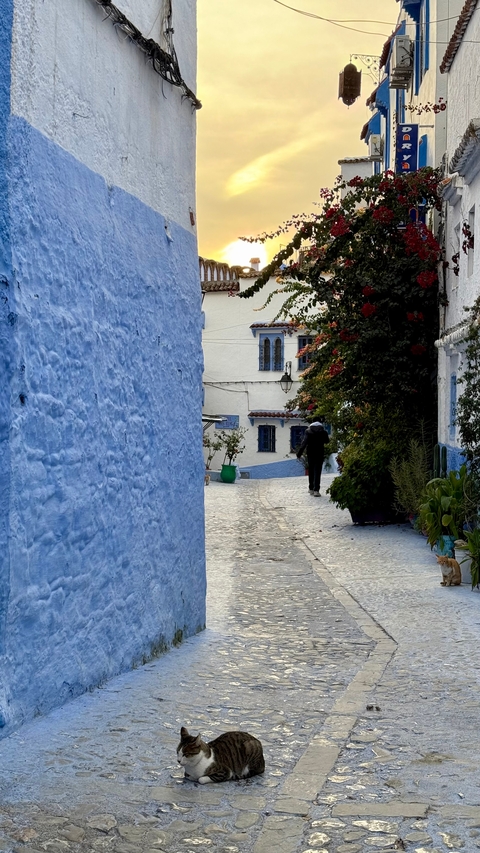 Narrow alley with a person walking in a blue-walled area.