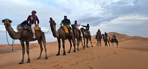       Group camel ride through desert.
  