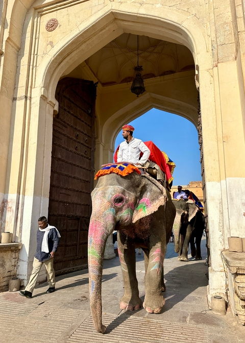 Elephant riders outside a historic gate.