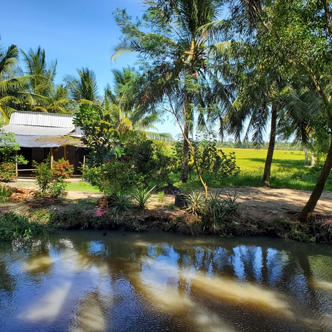 Rustic house near a river surrounded by tropical trees.