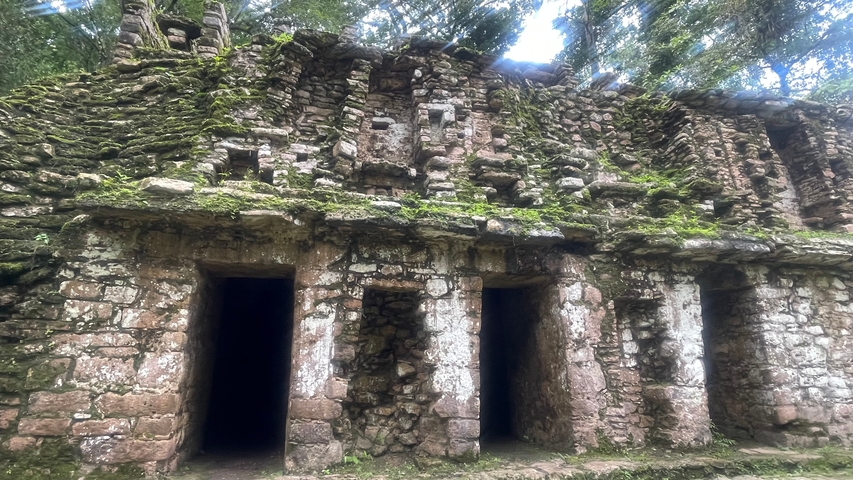       Dense jungle ruins with stone doorways.
  