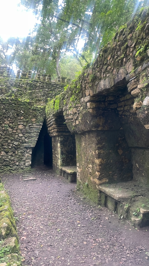       Stone structure of ancient ruins covered in moss.
  