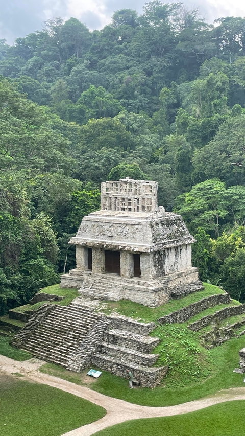       Temple structure surrounded by lush jungle.
  