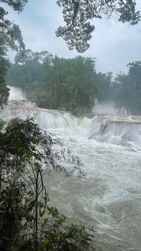       Cascading waterfalls in a lush forest setting.
  