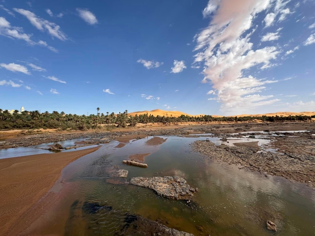 Oasis with palm trees and a water body under a clear sky.