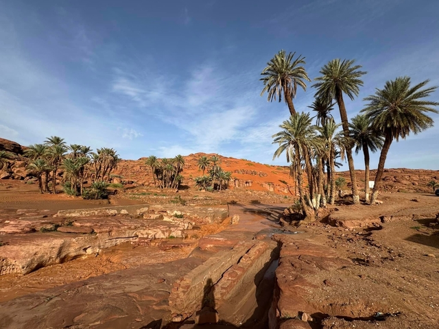      Rocky desert landscape with palm trees in the distance.
  