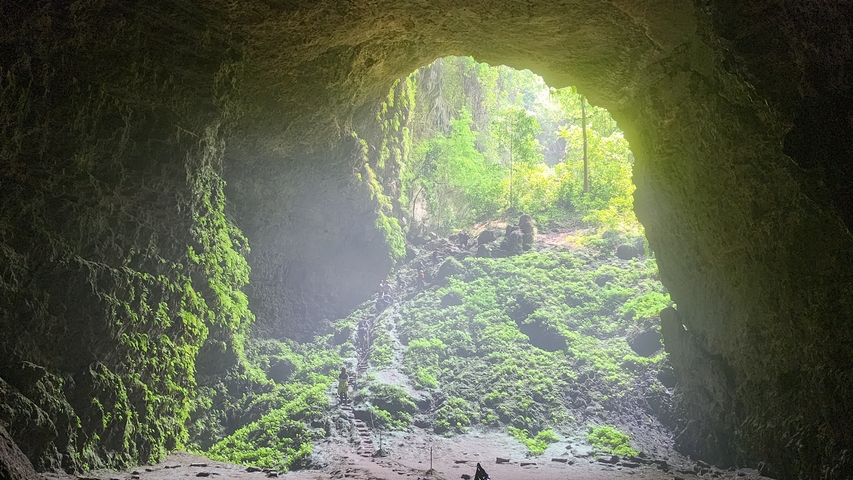 Light streaming into a lush green cave.