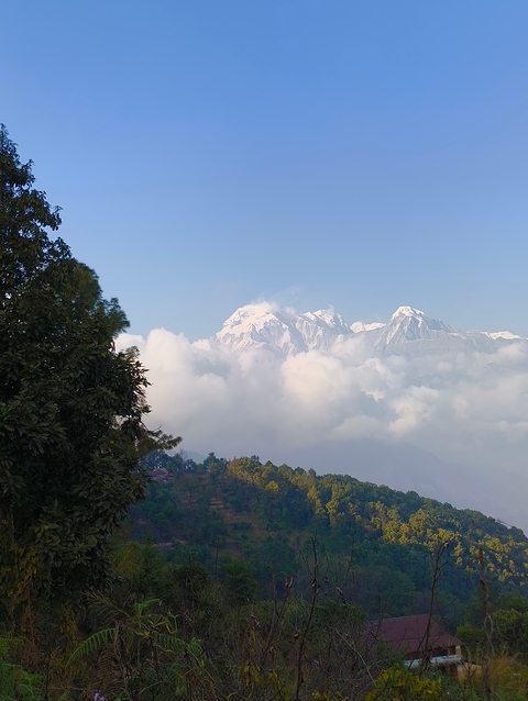       Snowy mountain peak emerging through the clouds.
  