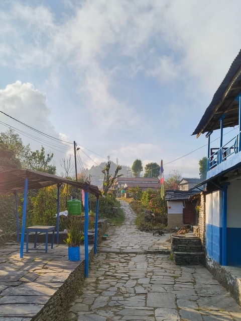 Village path with small houses and surrounding greenery.