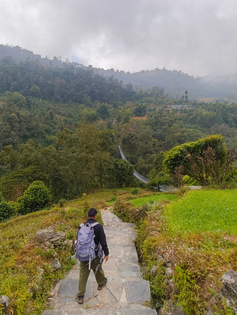 Hiker descending through lush greenery and hills.