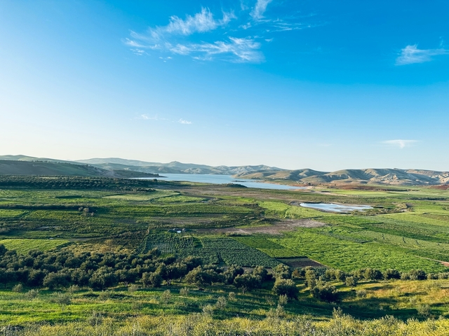 Expansive field and lake under a blue sky.