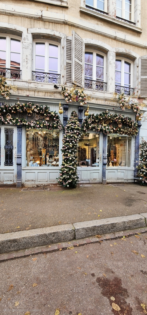       Christmas-themed shop window with decorations.
  