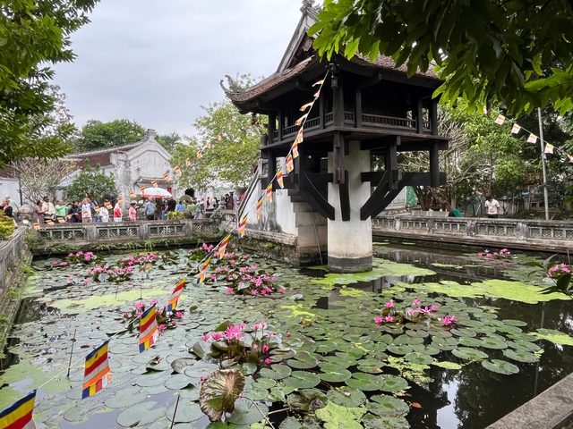       A small traditional pavilion situated in a pond covered with lotus flowers.
  