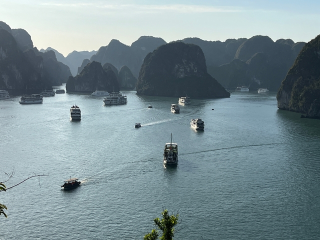       A fleet of boats sailing through a picturesque bay surrounded by limestone karsts.
  