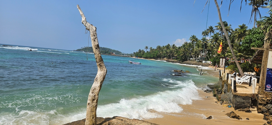 Palm-fringed beach with boats in the distance.